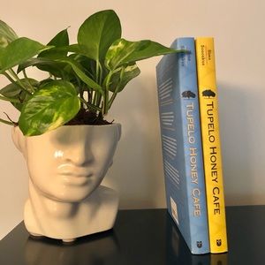 Tupelo Honey Cafe Cookbooks (2)